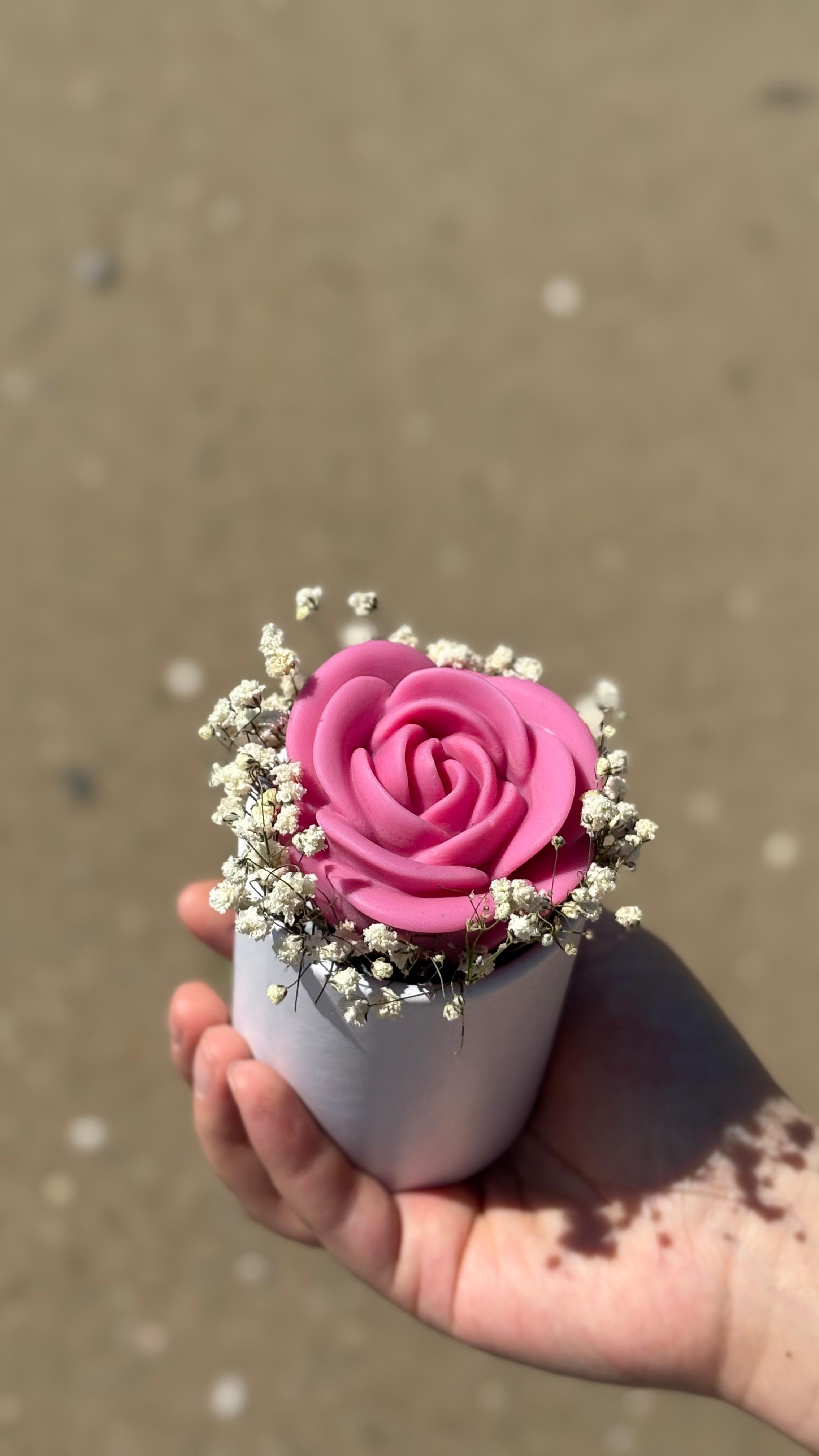 Hub 3 - Dia da Mãe 26